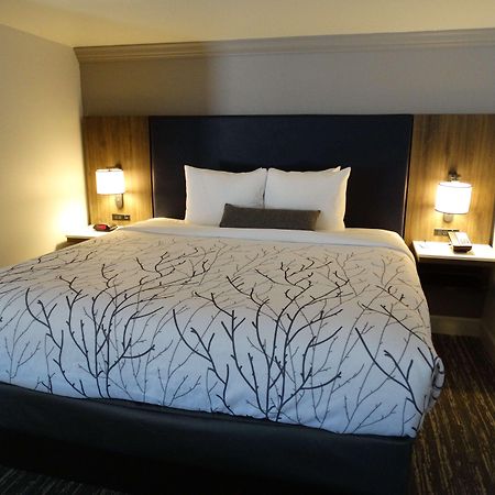 Best Western Premier Denver East Pokoj fotografie