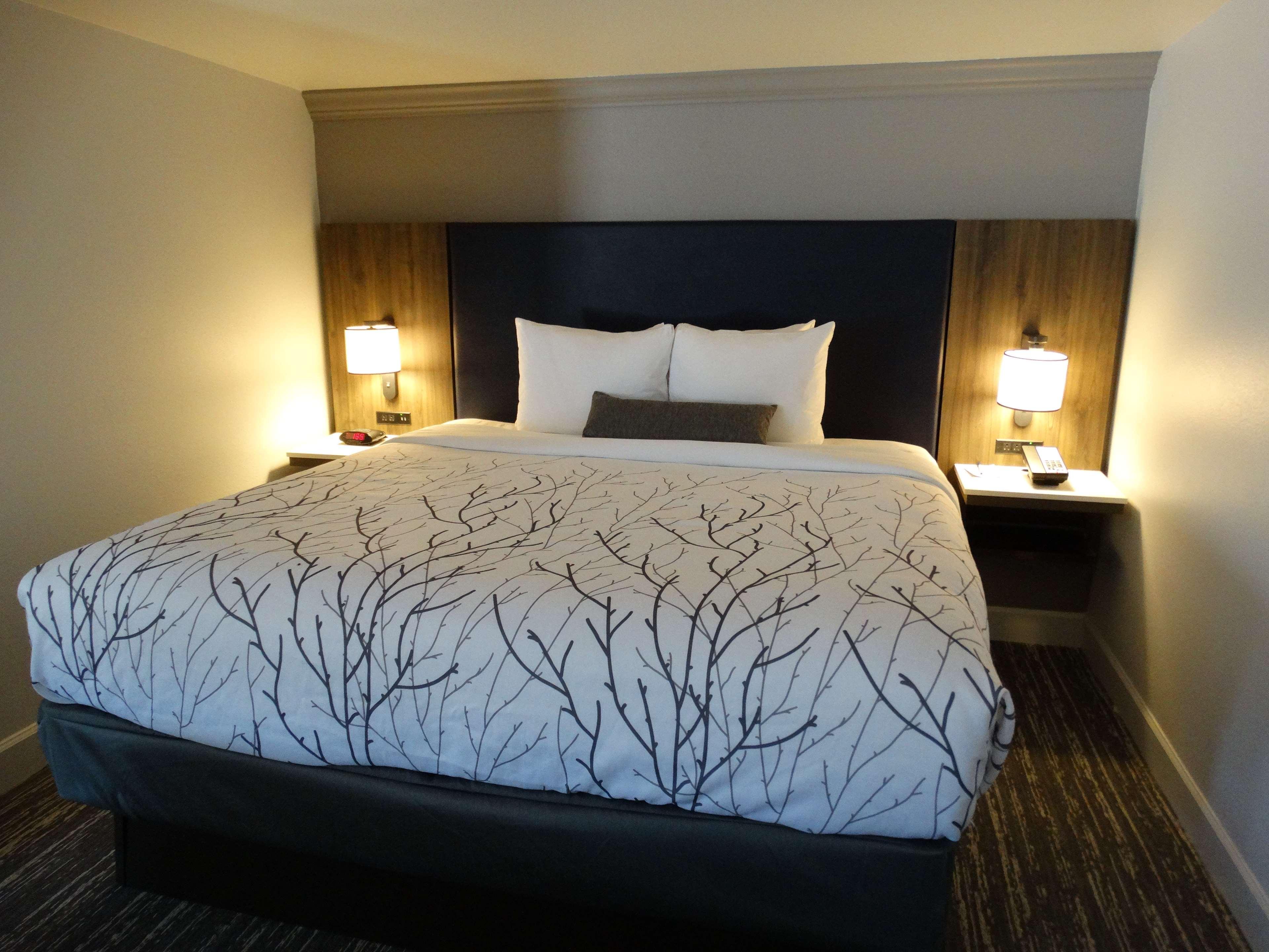 Best Western Premier Denver East Pokoj fotografie